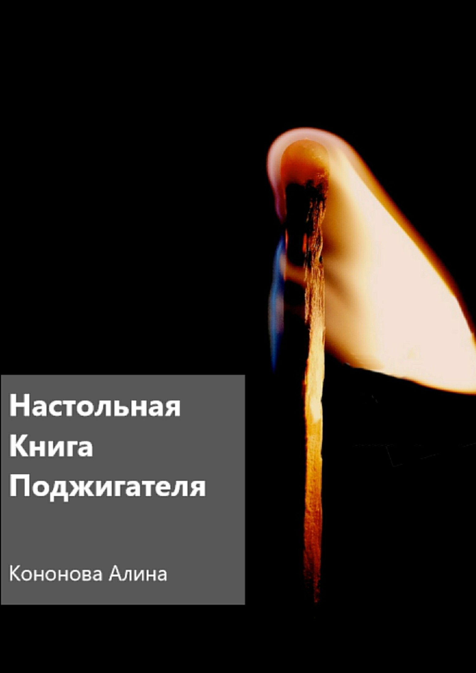 Настольная книга поджигателя (fb2)