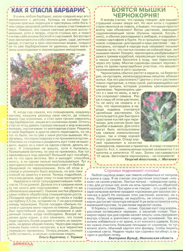 КулЛиб.   журнал Дом и сад для души - Дом и сад для души 2014 №5(77). Страница № 14