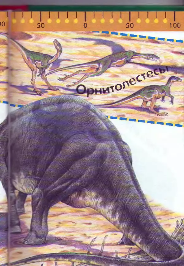КулЛиб. Евгений Николаевич Курочкин - Динозавры и доисторический мир. Страница № 120