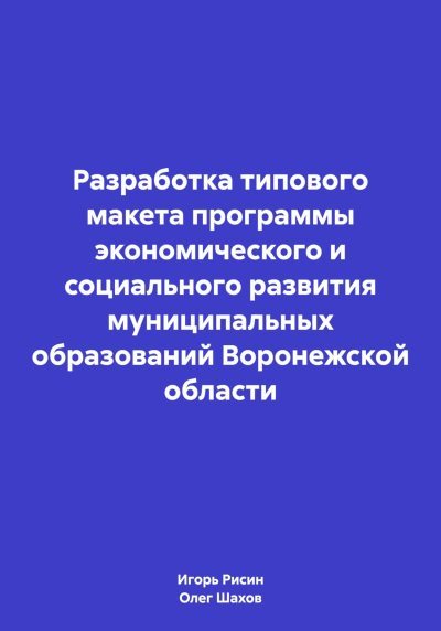 Разработка типового макета программы экономического и социального развития муниципальных образований Воронежской области (fb2)