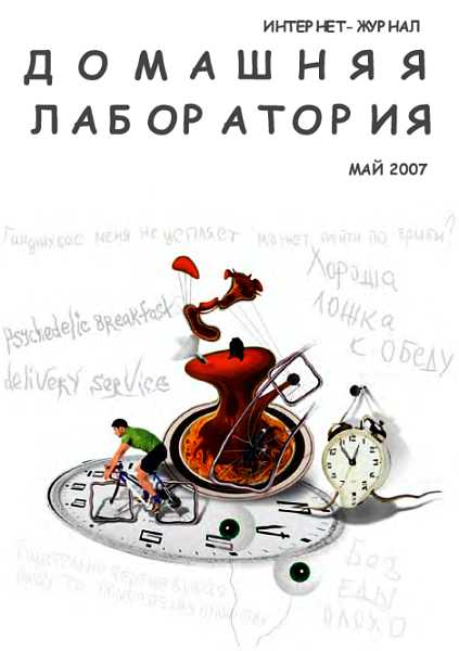 Интернет-журнал "Домашняя лаборатория", 2007 №5 (fb2)
