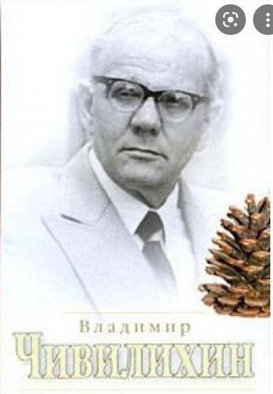 Речь В. Чивилихина на Пятом съезде писателей СССР (fb2)