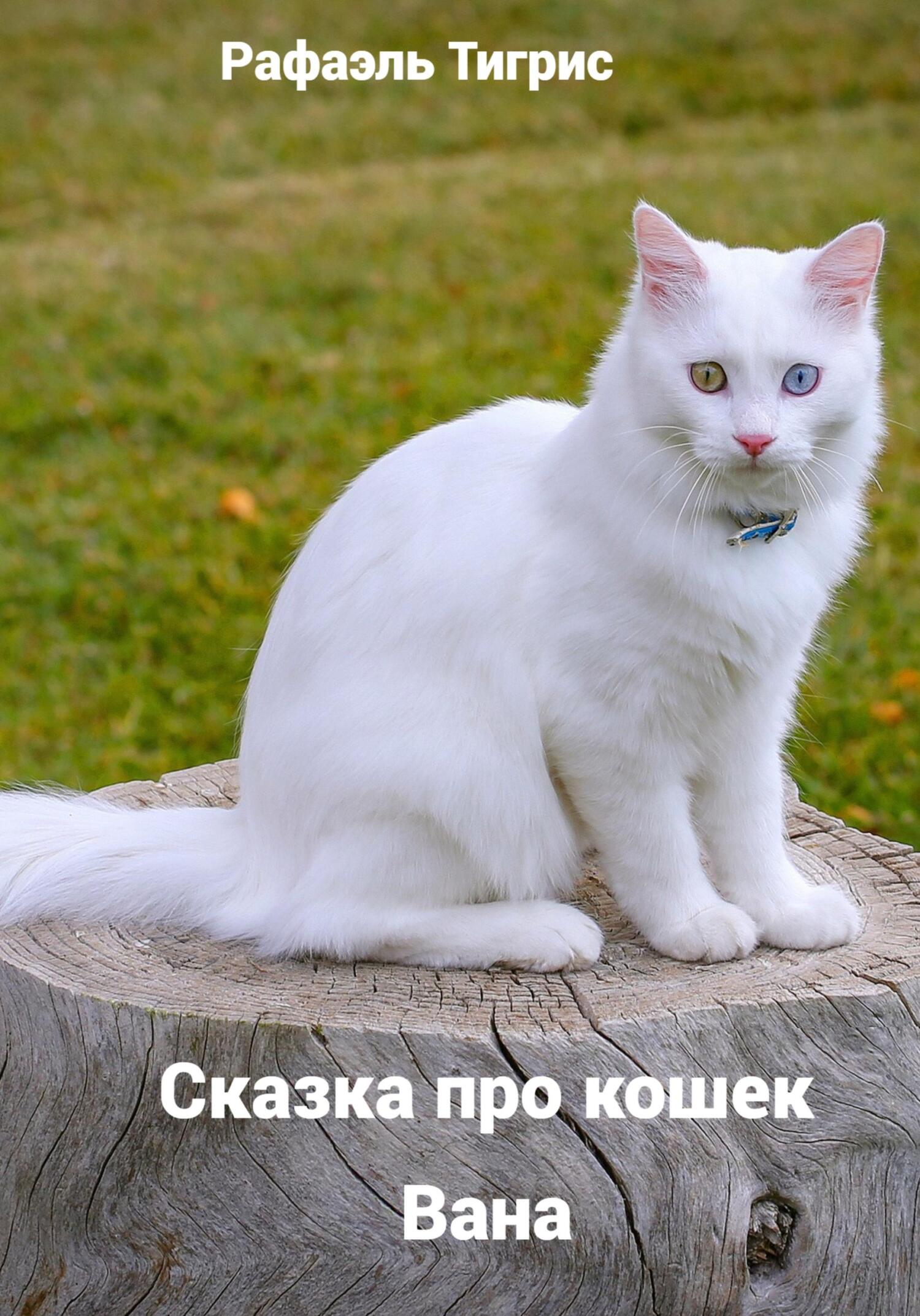Сказка про кошек Вана (fb2)